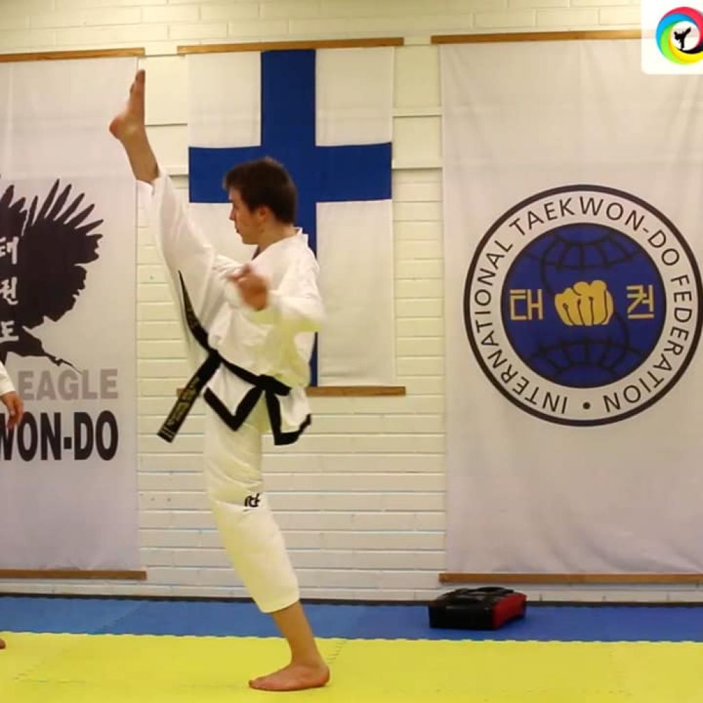 Taekwon-Do workshop training with Master Thierry Meyour in Finland
