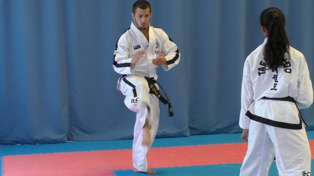 Ge-Baek Tul premium lesson focusing on power and control at dan level