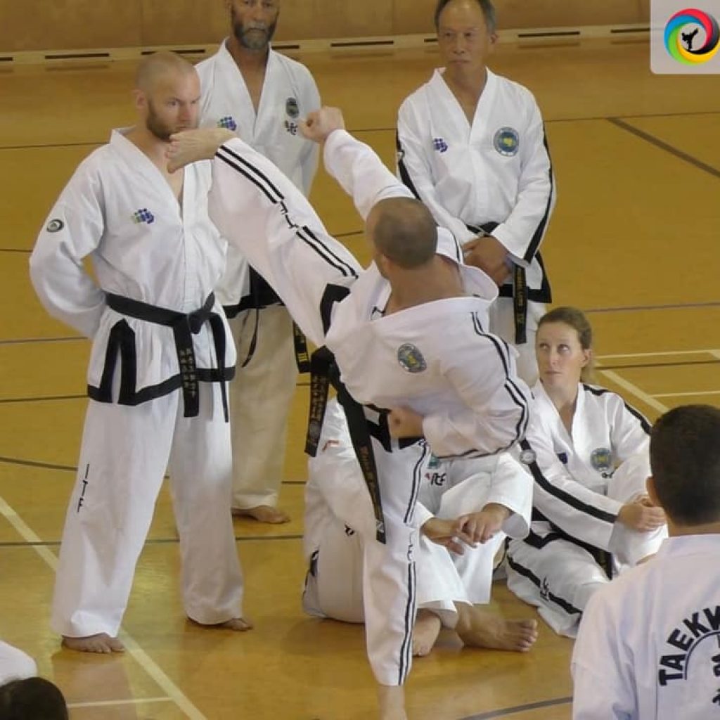 Adult Taekwon-Do practitioners training kicking techniques with Master Mark Hutton