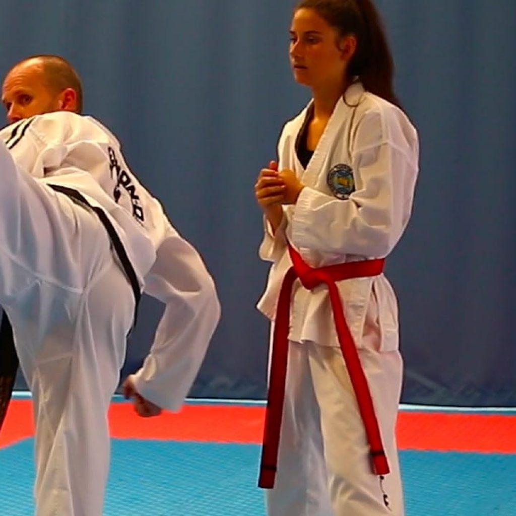 One-on-one Taekwon-Do coaching session with Master Mark Hutton