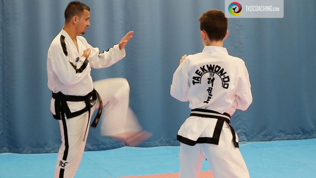 Toi-Gye Tul premium lesson taught step by step at red stripe level