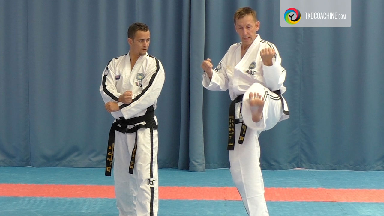 Ul-Ji pattern coaching session with Master Paul McPhail and Mark Trotter demonstrating a kicking sequence