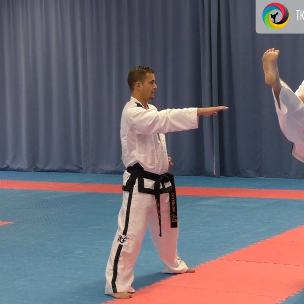 Moon-Moo Tul premium lesson focusing on technique height and targeting