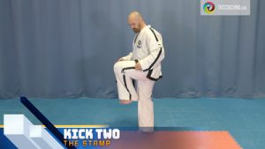 5 kicks3