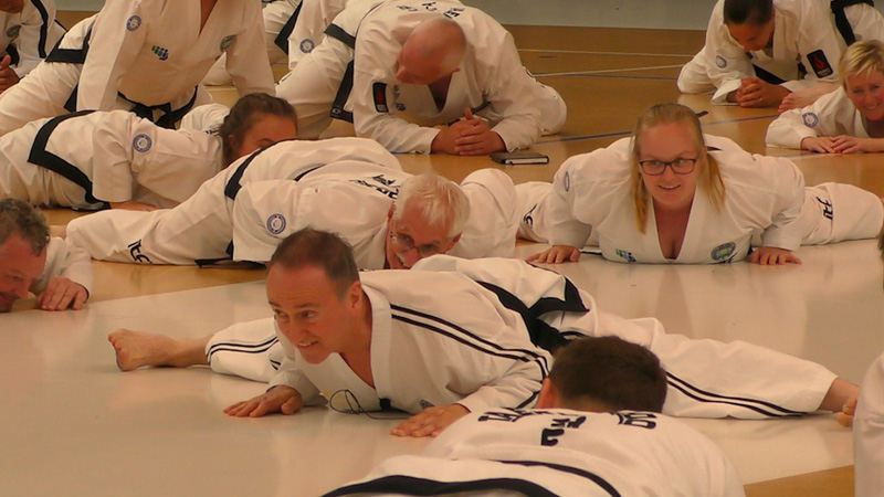 taekwondo lessons