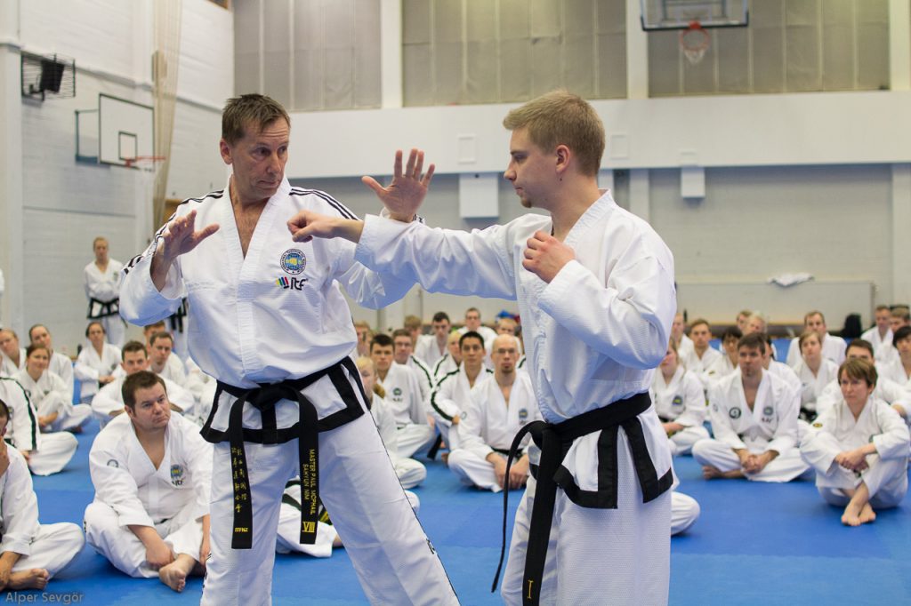 taekwondo training