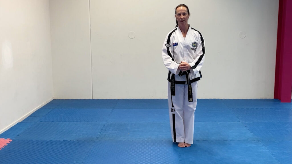 Se-Jong Tul premium lesson with senior dan demonstration