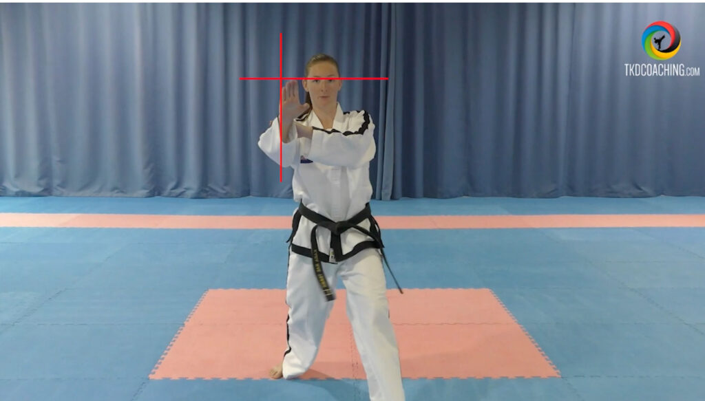 A Quick look at Patterns Sam-il with Kara Stewart