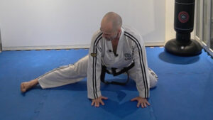 Master Mariusz leading a Taekwon-Do warm-up focused on mobility and flexibility