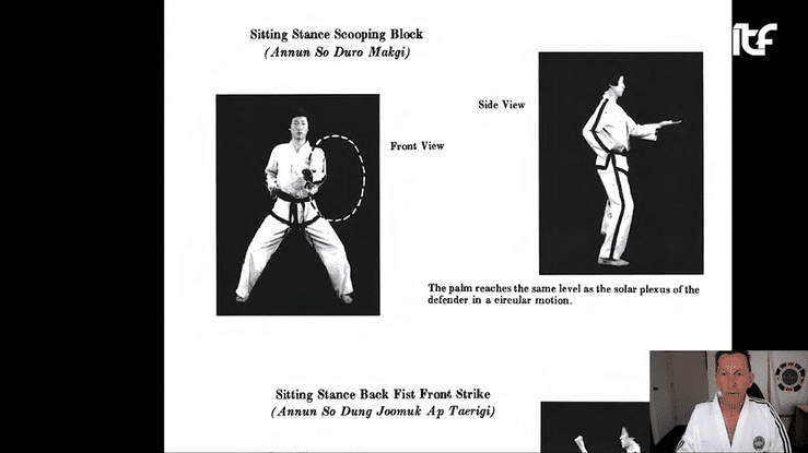 Screenshot from the ITF On-line Ge-Baek video featuring GM Paul McPhail presenting detailed technical guidance.