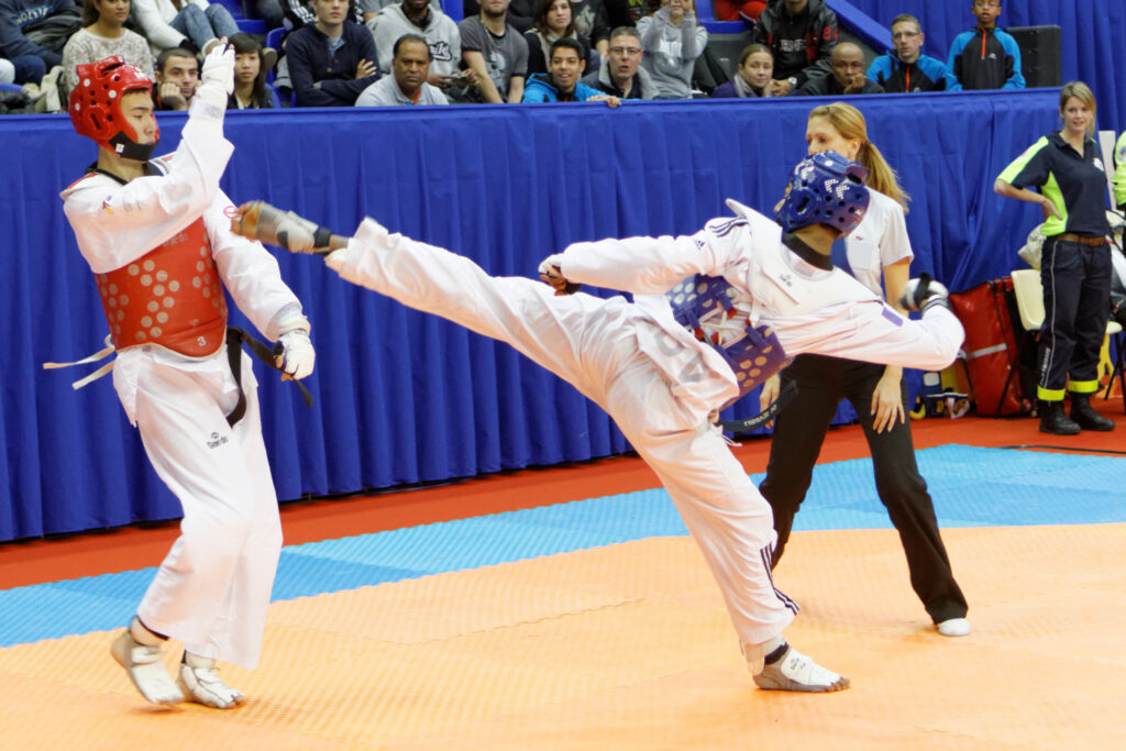Taekwondo Tournament