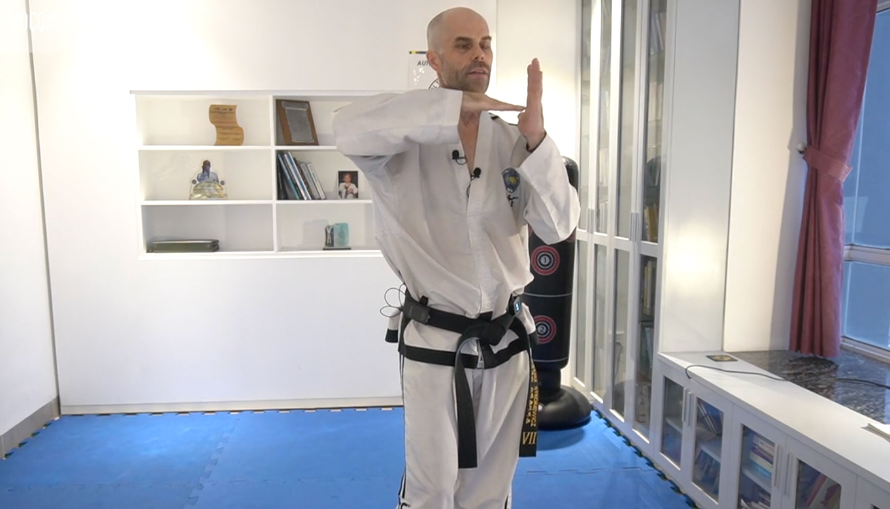 Trajectory of a Punch1