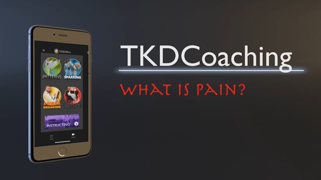 Pain in Taekwon-Do - understanding pain, recovery, and how to train smart (Sanna Rantasaari)