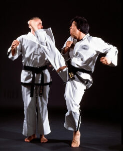 High Twisting Kick from Moon-Moo tul