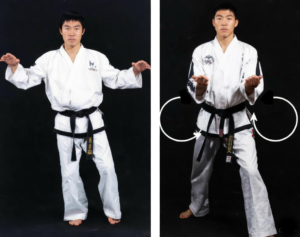 The twin palm upward block from Choong-Moo pattern