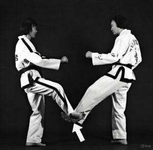 Sweeping kick from Sam-il Tul