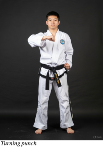 ITF Taekwon-Do Turning punch