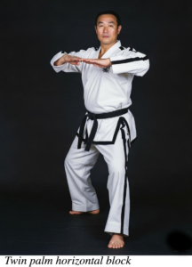 The ITF Taekwon-Do Twin Palm Horizontal block