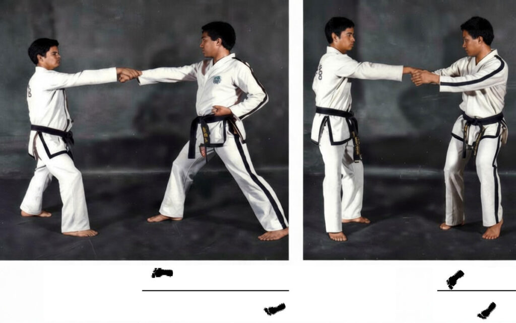 Application of movements 11 and 12 in Hwa-Rang Pattern