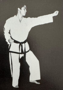 vertical punch with middle knuckle fist from Choi-Yong tul