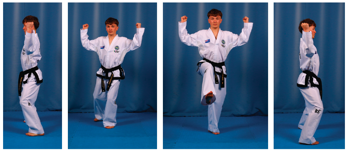 The W-shape block from the ITF pattern Toi-Gye