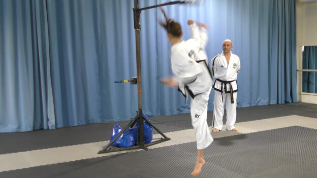 A session on Teaching flying reverse-turning kick by Mr Brendan Doogan