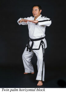 Twin Palm Horizontal block