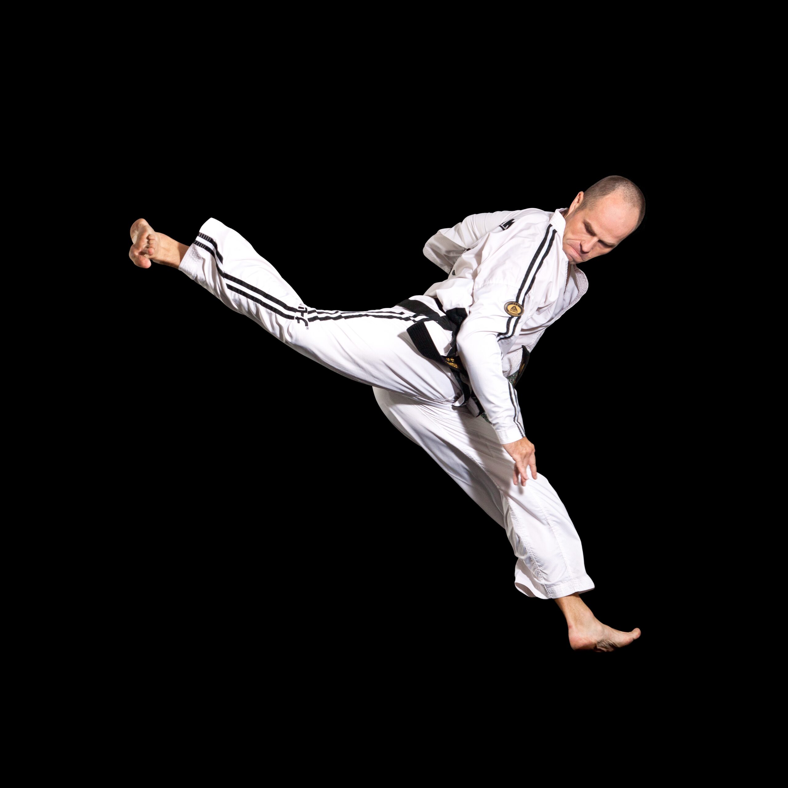 Master Mariusz Steckiewicz Flying Back Kick
