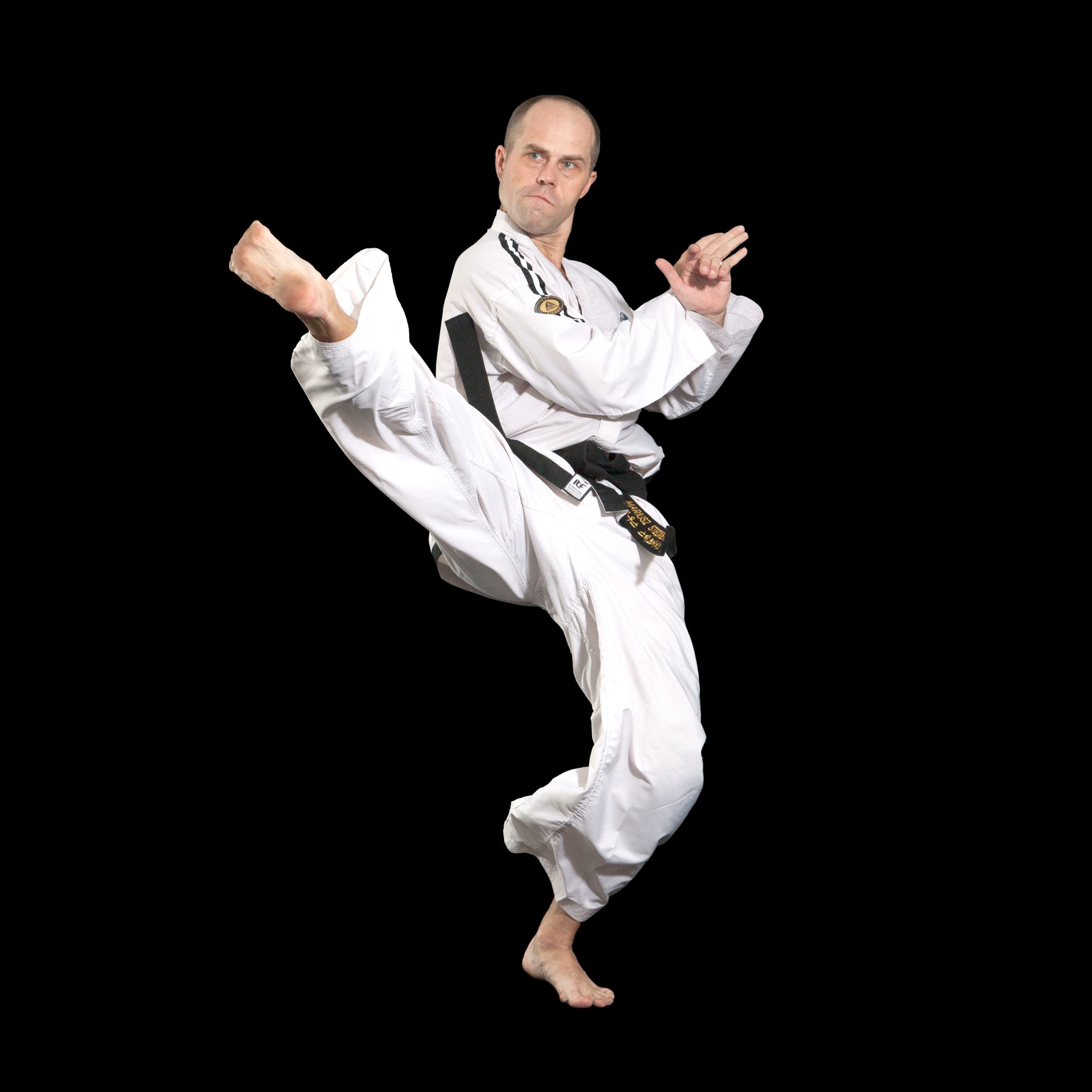 Master Mariusz Steckiewicz Twisting Kick