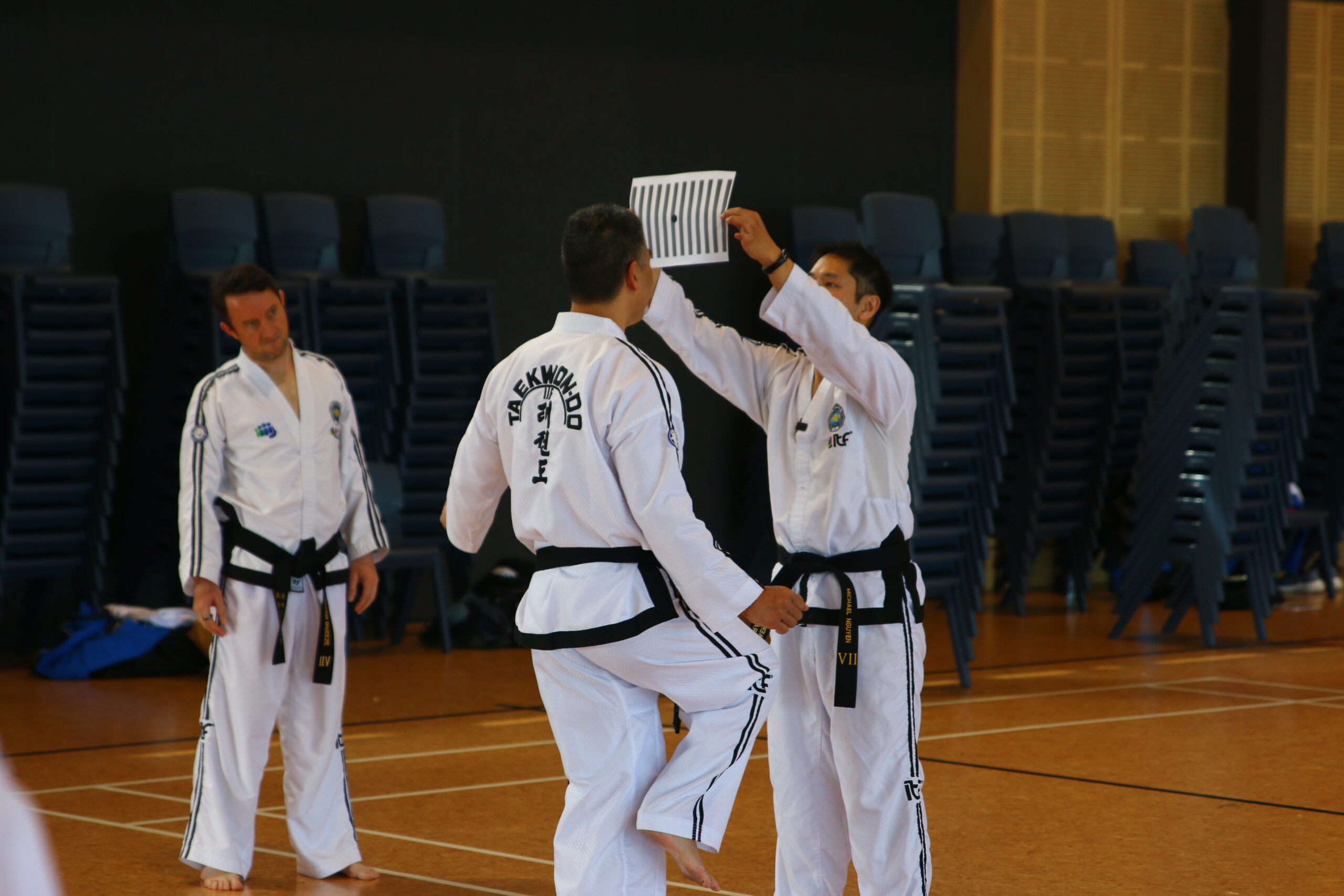 Master Joe at Balance Beyond Belts session